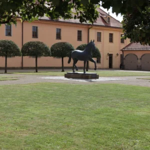 Gestüt Moritzburg: Neues Netz für ein historisches Gelände Gestüt Moritzburg: Neues Netz für ein historisches Gelände